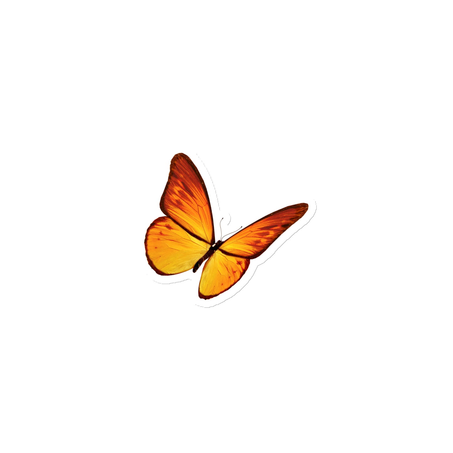 Butterfly Yellow Magnet