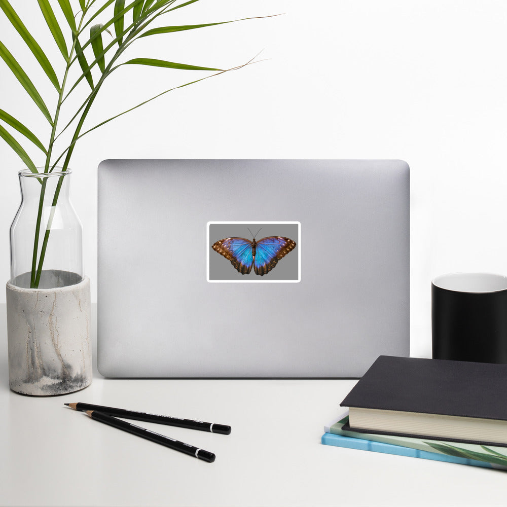 Butterfly blue sticker