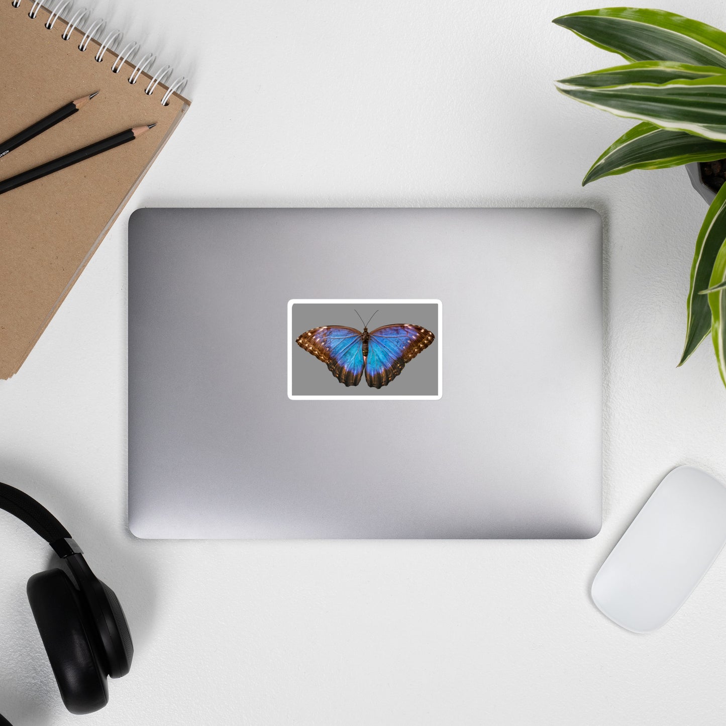 Butterfly blue sticker