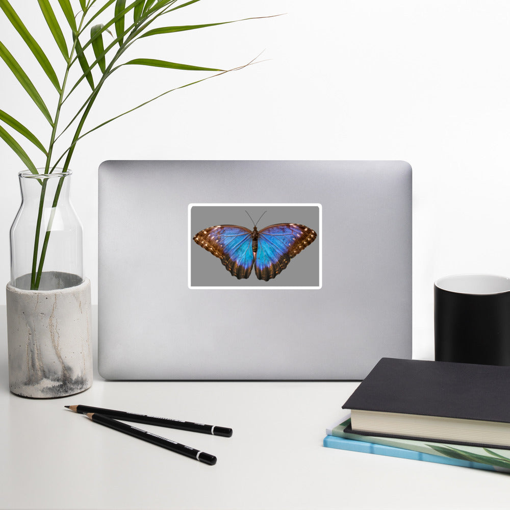 Butterfly blue sticker
