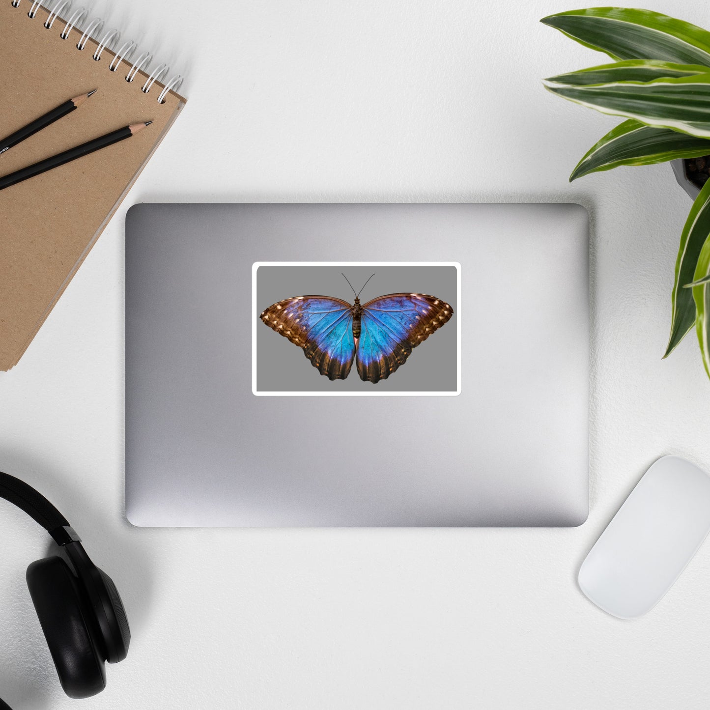 Butterfly blue sticker