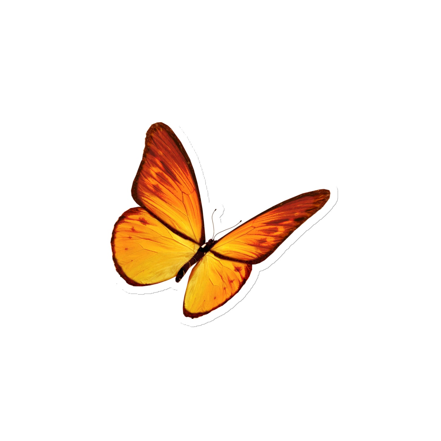 Butterfly Yellow Magnet