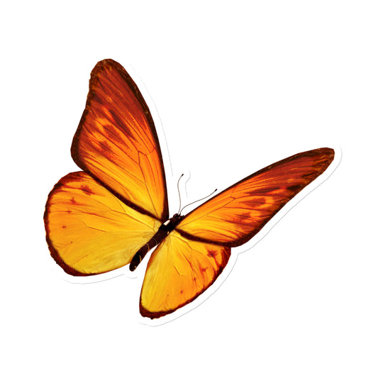 Butterfly Yellow Magnet