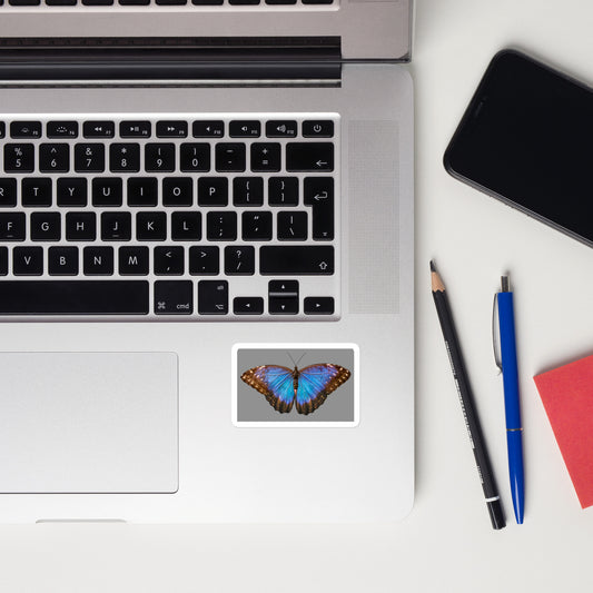 Butterfly blue sticker